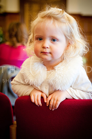 Woodgate_008