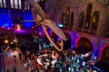 Law firm Summer Party at the Natural History Museum 2019