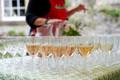 Lord-Lieutenant's Garden Party_21-7-23_001