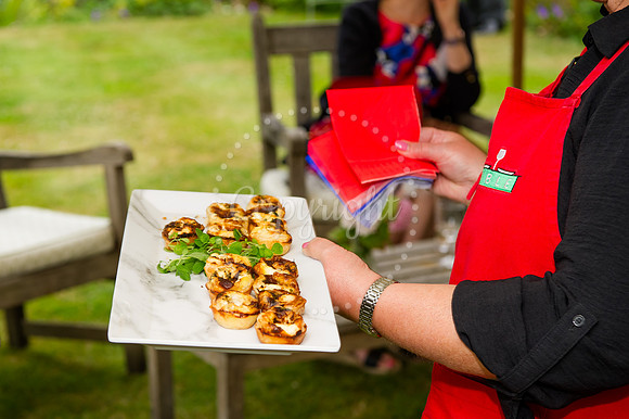Lord-Lieutenant's Garden Party_21-7-23_024